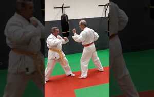 application sous forme randori: attaque multiple Tsuki