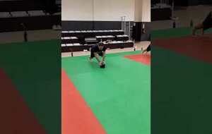 Medecine Ball 6 - janvier 2026