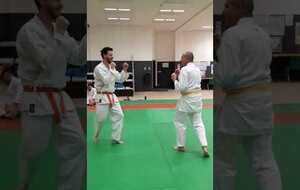 application sous forme randori: attaque multiple Tsuki bis