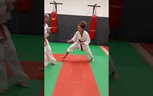 application sous forme randori: attaque mae geri bis