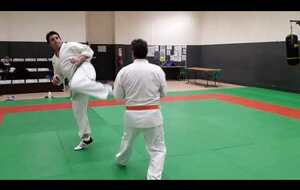 Randori atémis jambes