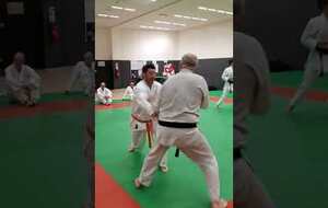 application sous forme randori: attaque multiple Tsuki ter