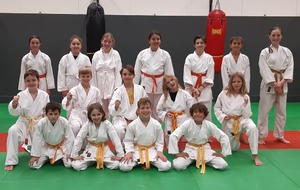 karaté - Nihon Taï Jitsu 10 / 14 ans