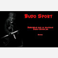 Budosport