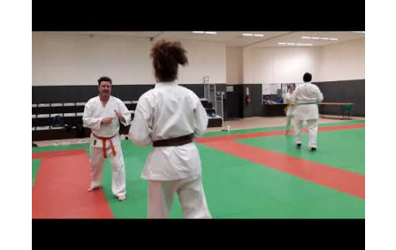 Randori atémis jambes bis